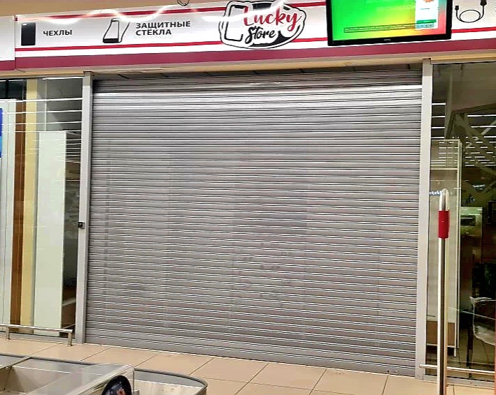 Роллетные ворота DoorHan в Барнауле с установкой
